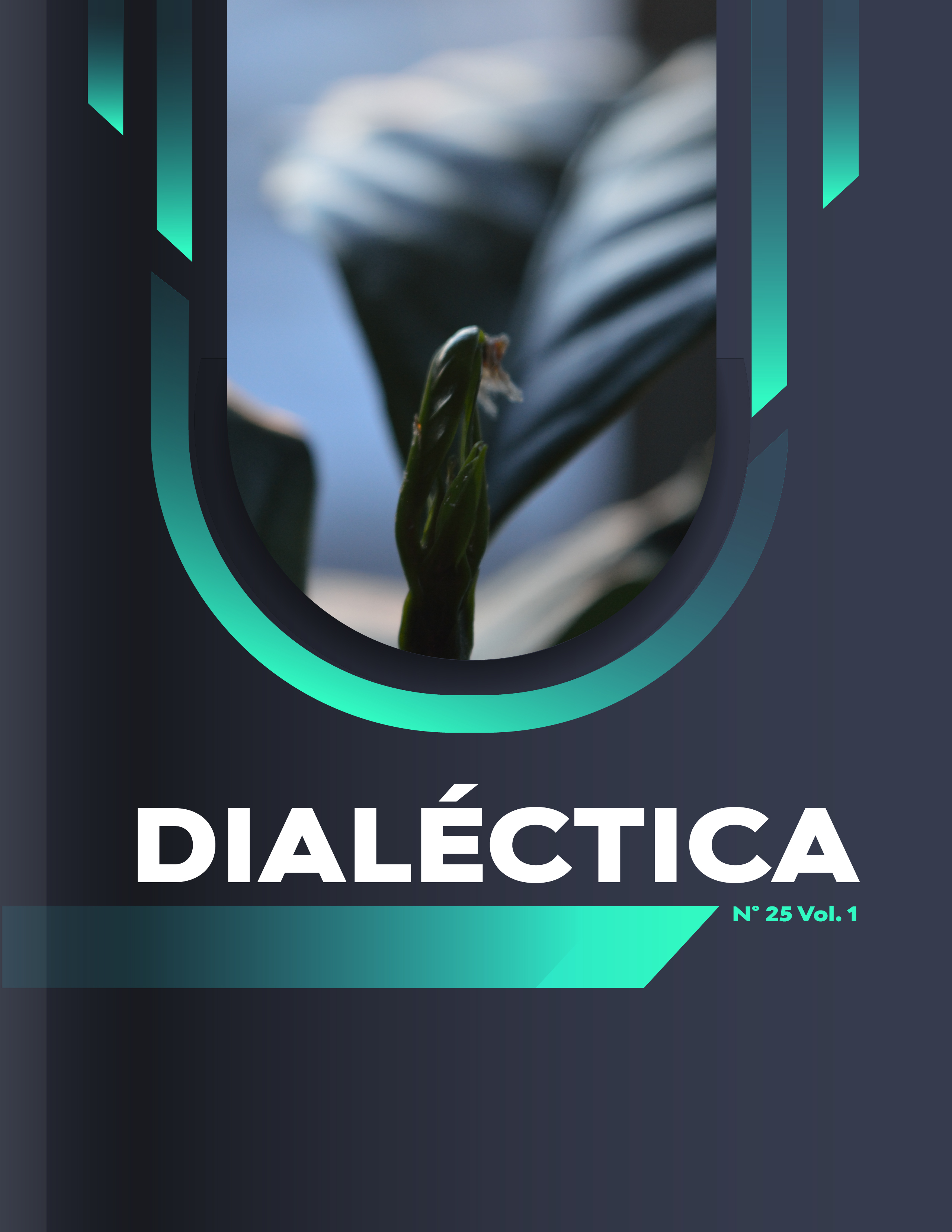 					Ver Vol. 1 Núm. 25: Dialéctica
				